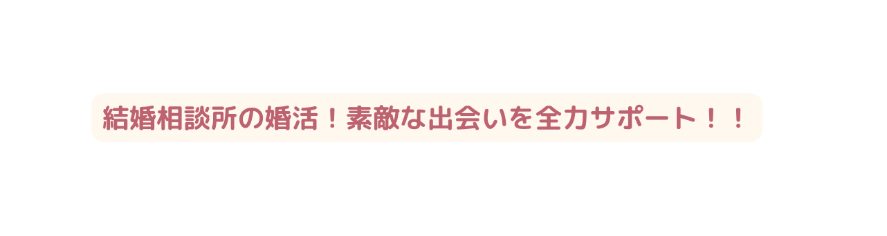 結婚相談所の婚活 素敵な出会いを全力サポート